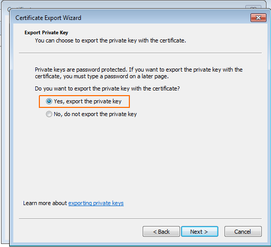 Internet Explorer - Certificate Export Wizard - Export private key